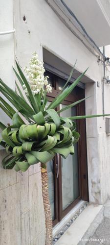 Foto La Maison de Lucietta 6