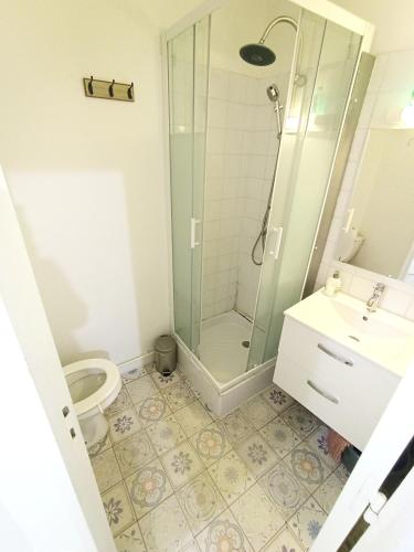 une salle de bain avec une douche, des toilettes et un lavabo dans l'établissement Le bon appart proche centre-ville, à Roanne
