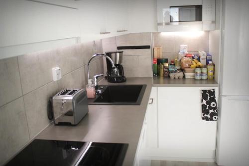 Kuchyň nebo kuchyňský kout v ubytování Moderni maisemakaksio asuntomessualueella