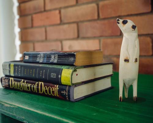 a cat figurine standing next to a stack of books at Ndani House in Arusha