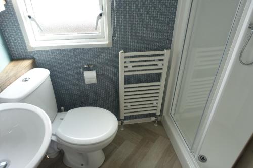 a small bathroom with a toilet and a shower at Red Lion Holiday Park in Arbroath