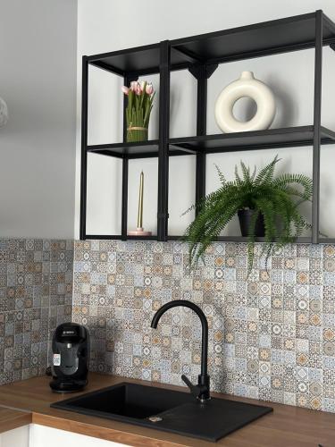 Gallery image of ApartHotel Campeador City in Timişoara