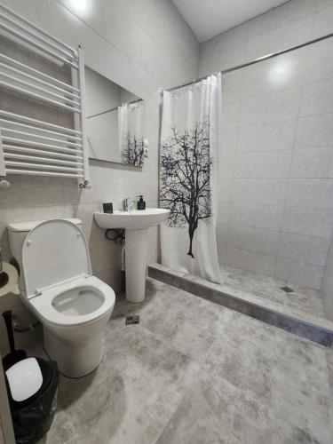 a bathroom with a toilet and a sink and a shower at Kardanakhi Estate in Anaga
