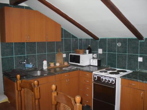 a kitchen with a stove and a microwave at Guest House Keserovic in Vinci
