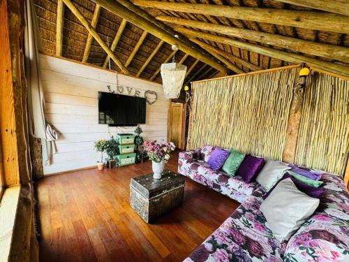 Una sala de estar con un sofá y un televisor. en Breakaway Bushveld Mansion at Olifantsrivier ,Presidentsrus, en Botshabelo