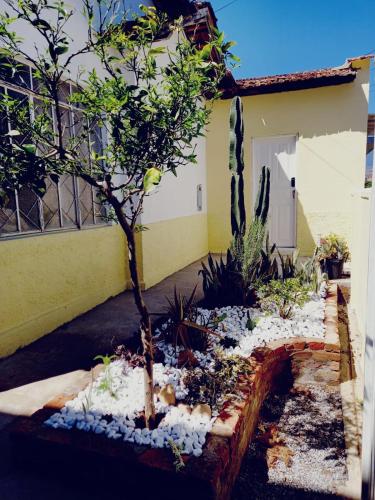 a garden in front of a house with a tree and cactus at Casa da Áfrika - Suíte Jasmin in Itanhandu