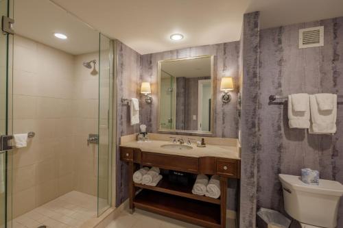 a bathroom with a sink and a toilet and a mirror at Morris Inn at Notre Dame in South Bend