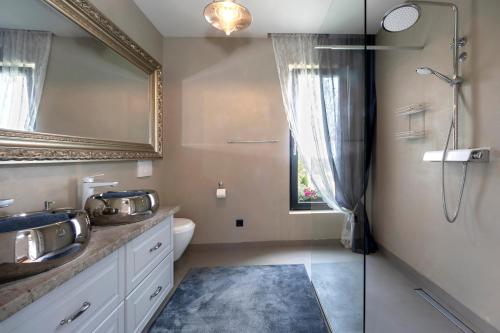 a bathroom with a shower and a sink and a mirror at Villa Una Sofia in Pazin