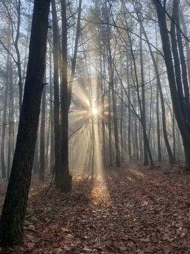 Příroda nedaleko apartmánu