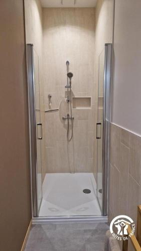 a shower with a glass door in a bathroom at Aux roses de Cèdres in Salvagnac