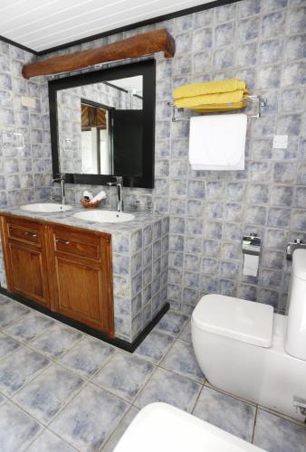a bathroom with a sink and a toilet and a mirror at The Salty Palms in Beau Vallon