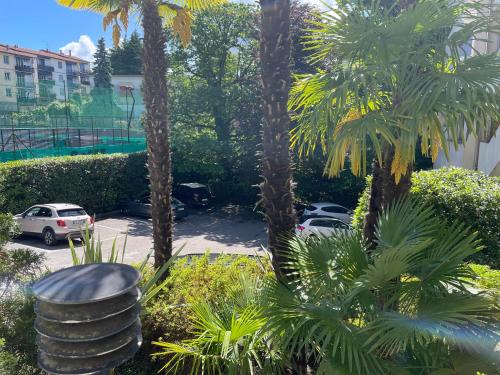a view of a parking lot with palm trees at Il Lago a Luino in Luino