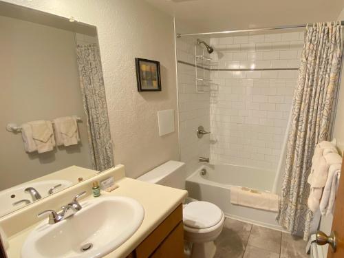 a bathroom with a sink and a toilet and a tub at 205-F Buffalo Ridge in Silverthorne