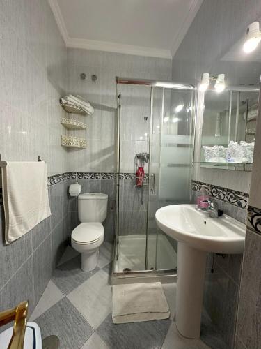 a bathroom with a shower and a toilet and a sink at Hostal Avenida in Tabernas