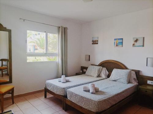 CASA ANITA, pool sea and surf in Corralejo