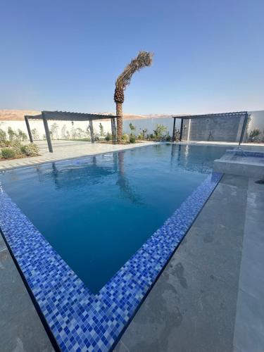 a swimming pool with blue tiles on the ground at Venue in Al Rama