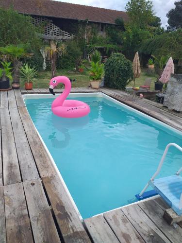 un cygne rose flottant dans une piscine dans l'établissement Gîte cadre champêtre, à Auterive