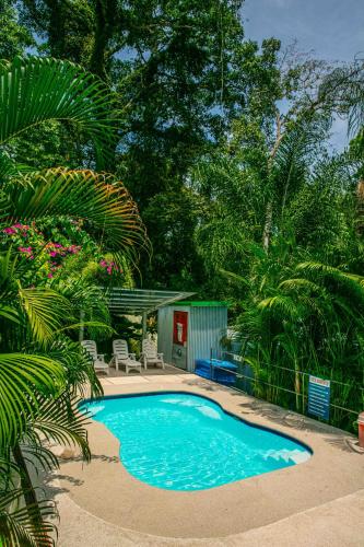 a swimming pool in the middle of a yard at HOTEL, VILLAS y GLAMPINGS MYA -PUERTO VIEJO, Limon, CR in Puerto Viejo