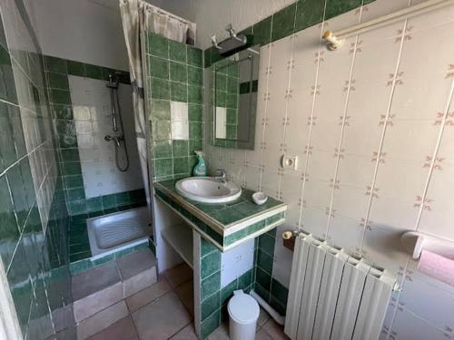 La salle de bains est pourvue de carrelage vert, d'un lavabo et d'une douche. dans l'établissement La Chaumière, à Allegre Les Fumades