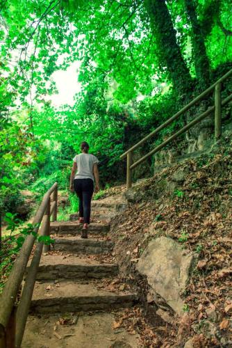 a man walking down a staircase in a forest at Giannakos Apartments in Ydroússa