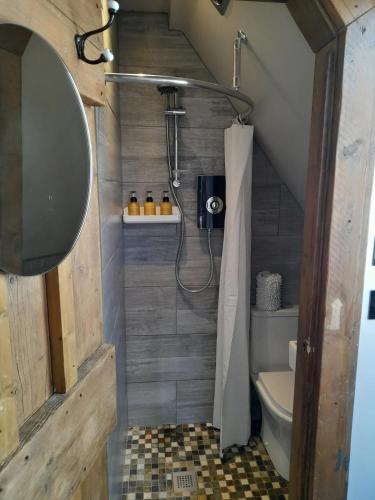 a bathroom with a shower with a toilet and a sink at Quaint Studio Loft Room nr Hampton Court in Thames Ditton