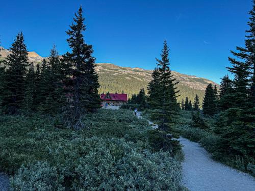 a house in the middle of a forest with a trail at The Lodge at Bow Lake in Lake Louise