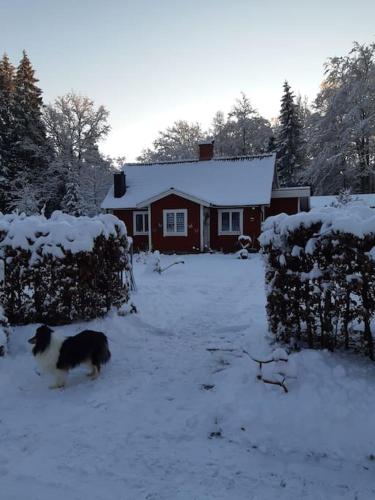 Gambar di galeri bagi Kycklingparadiset Beterås di Strömsnäsbruk