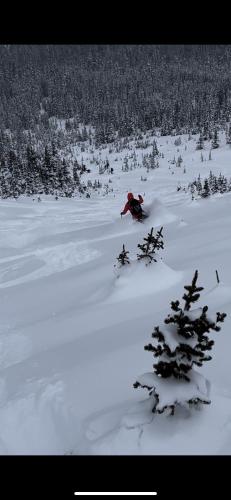 a person is skiing down a snow covered slope at The Lodge at Bow Lake in Lake Louise