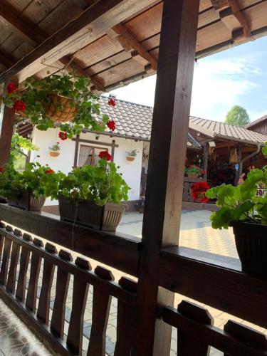 a balcony with potted plants on a building at Casa de pe Deal in Sadova