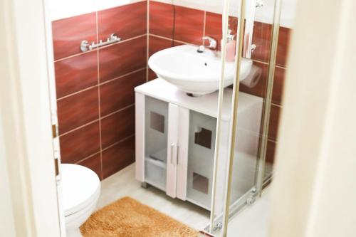 Phòng tắm tại Little Studio at APARTMENTS SILVER - Gajac - Zrce beach