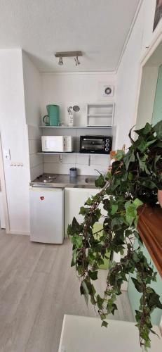 une cuisine avec des appareils blancs et une plante verte dans l'établissement Studio 30m plage - Marina 5 - 31 allée des pinons - 1-1, à Saint-Jean-de-Monts