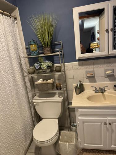 a bathroom with a toilet and a sink and a mirror at Comfort Apartment Near Newark Airport in Newark