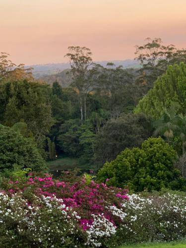 a view of a garden with flowers and trees at Montville Country Cabins in Montville