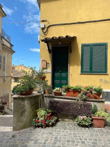 a building with potted plants in front of a door at Casa Antonella in Castel Gandolfo