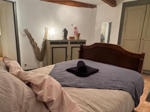 Photo de la galerie de l'établissement Ammonite, à Digne-Les-Bains