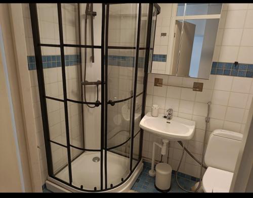 a bathroom with a glass shower and a sink at Spacious Apartment in Kallio in Helsinki