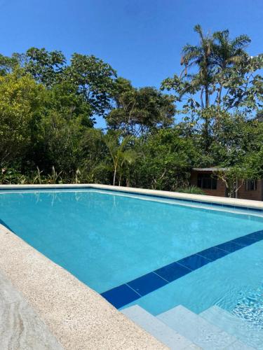 a blue swimming pool with trees in the background at Kila Glamping Puyo in Puyo