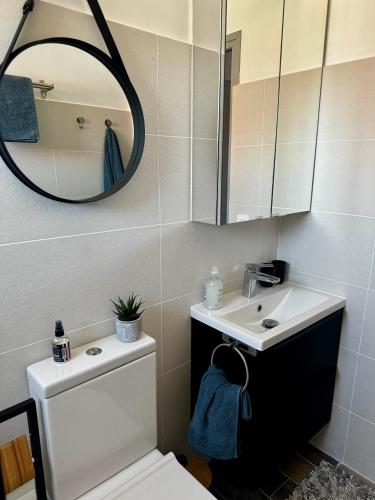 une salle de bain avec toilettes, lavabo et miroir dans l'établissement Détente au soleil, à Sorède