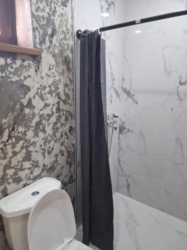 a bathroom with a white toilet and a shower at Luiza Guest House in Areni
