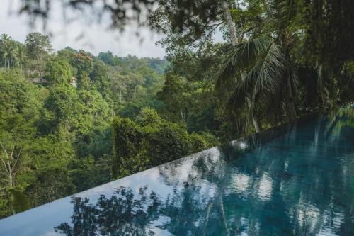 a swimming pool in the middle of a forest at The Hidden Paradise Ubud - CHSE Certified in Ubud