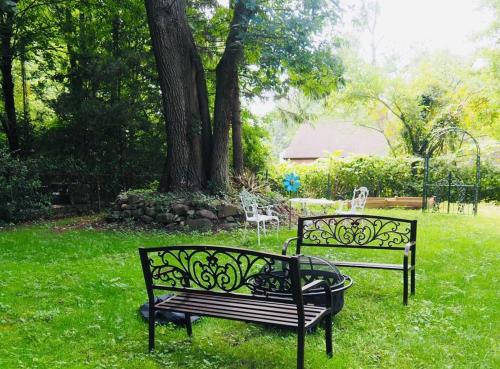 two benches sitting in the grass near a tree at Maison de Jardin Yale New Haven for Large Groups in New Haven