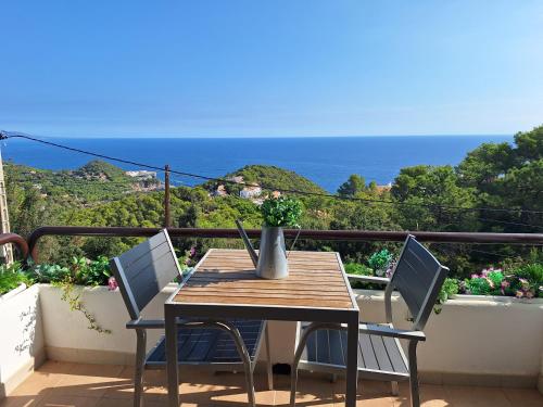 Apt CON VISTAS ALAS ISLAS MEDAS