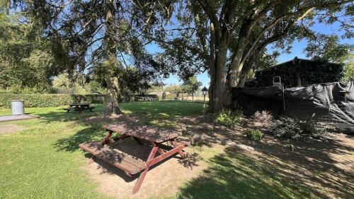 a picnic bench under a tree in a park at Chez Béné in Rochefort