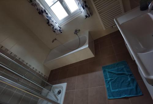 a bathroom with a shower and a tub and a sink at Niedergerner Alpaka Ranch Groß in Kemerting