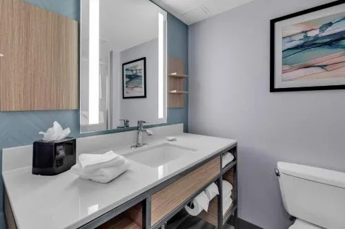 Hilton Garden Inn Myrtle Beach/Coastal Grand Mall photo 10