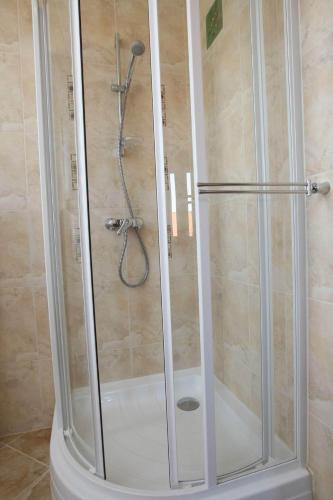 a shower with a glass door in a bathroom at Gasthaus Joó-Wellness Pension in Rábapaty