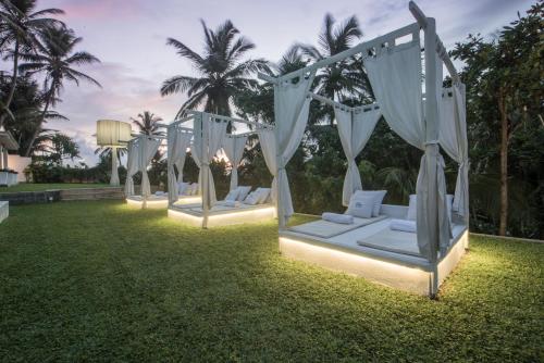 a row of white chairs on a lawn with palm trees at W15 Escape in Ahangama