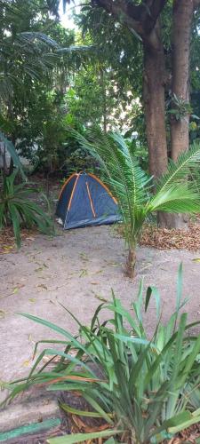 a blue tent in the middle of a garden at Recanto do Cajueiro Garça in Maceió