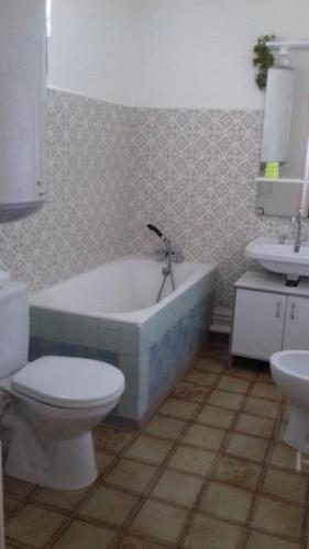 une salle de bain avec toilettes, baignoire et lavabo dans l'établissement Antique maison de montagne en ville !, à Briançon