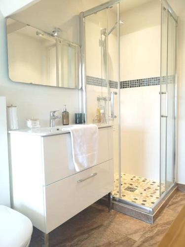 une salle de bain blanche avec une douche et un lavabo dans l'établissement La Maison d'Abère Hypercentre Château et Gare, à Pau